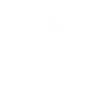 Leadership Economics